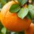 Satsuma – zdrowe właściwości mandarynki, które wspierają długowieczność